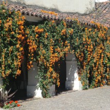 Detail of the flower wall